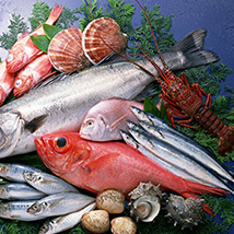 水產(chǎn)品加工解決方案